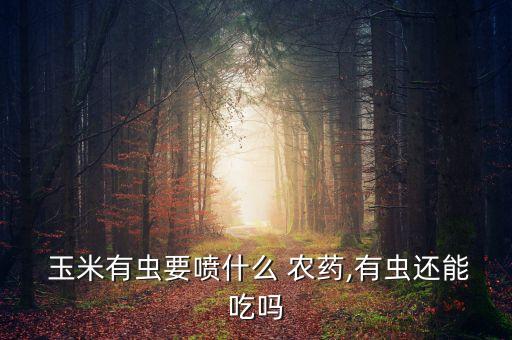 玉米殺蟲(chóng)用什么農(nóng)藥,殺蟲(chóng)雙可以配什么農(nóng)藥