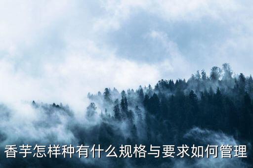 香芋怎樣種有什么規(guī)格與要求如何管理