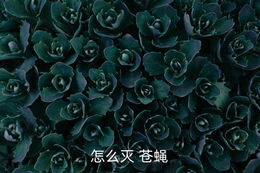 怎么滅 蒼蠅