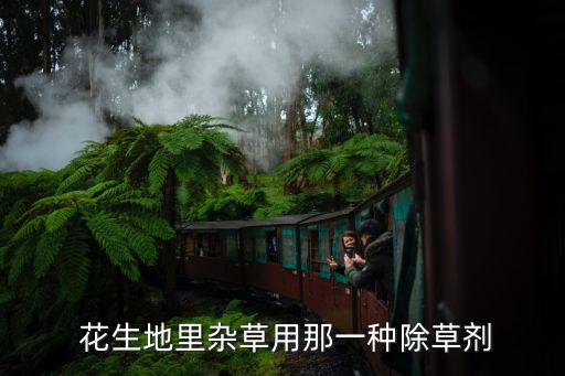 花生保葉用什么農(nóng)藥,花生打什么農(nóng)藥結果多