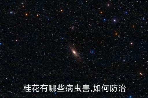  桂花有哪些病蟲害,如何防治