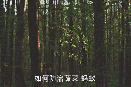 傳殺螞蟻農(nóng)藥什么藥,果園殺螞蟻?zhàn)钣行У霓r(nóng)藥