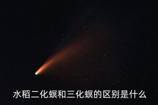 什么農藥防治水稻蛀心蟲,水稻蛀心蟲什么時候防治