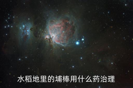 水稻地里的埔棒用什么藥治理