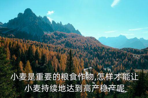 小麥打什么農藥最高產,小麥倒春寒用什么農藥