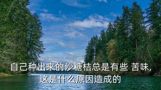 自己種出來的沙糖桔總是有些 苦味,這是什么原因造成的