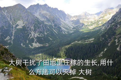  大樹干擾了田地里莊稼的生長,用什么方法可以滅掉 大樹