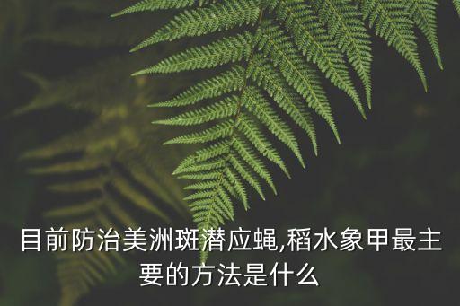 番茄斑潛繩用什么農(nóng)藥