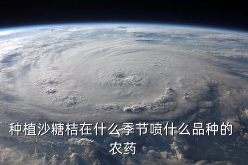 種植沙糖桔在什么季節(jié)噴什么品種的 農(nóng)藥