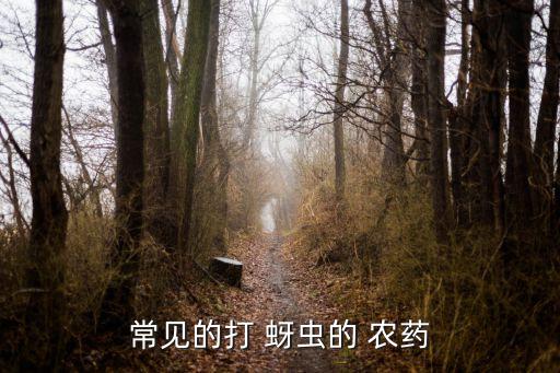 常見的打 蚜蟲的 農(nóng)藥
