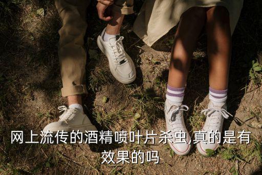 網(wǎng)上流傳的酒精噴葉片殺蟲,真的是有效果的嗎
