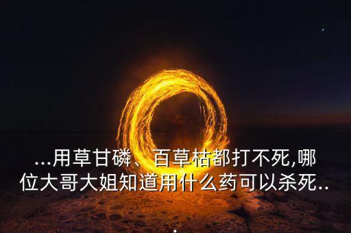 ...用草甘磷、百草枯都打不死,哪位大哥大姐知道用什么藥可以殺死...
