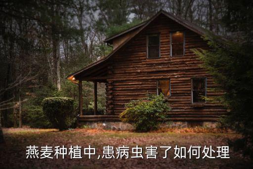  燕麥種植中,患病蟲(chóng)害了如何處理