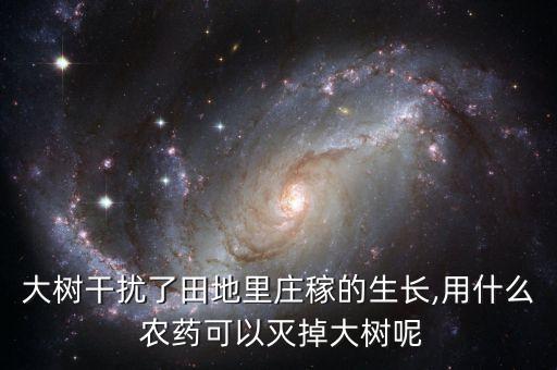 大樹干擾了田地里莊稼的生長(zhǎng),用什么 農(nóng)藥可以滅掉大樹呢
