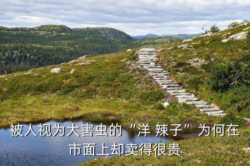 洋辣子什么農藥能噴死,治洋辣子用什么農藥