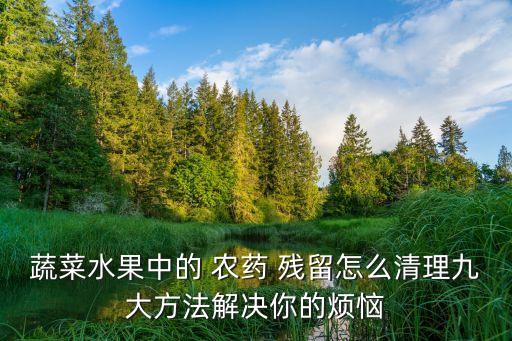 蔬菜水果中的 農(nóng)藥 殘留怎么清理九大方法解決你的煩惱