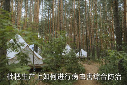 枇杷用什么農藥殺死的,什么農藥能大量殺死蒼蠅