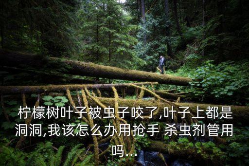 檸檬樹用什么農(nóng)藥殺蟲,什么農(nóng)藥殺蟲效果好期又長