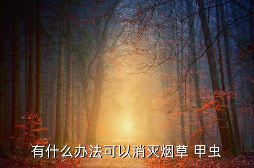 有什么辦法可以消滅煙草 甲蟲