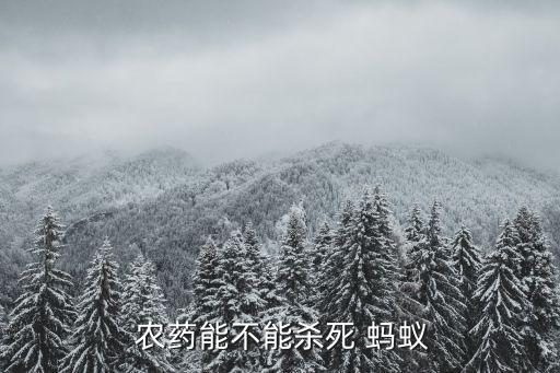 用什么農藥打螞蟻,什么農藥能快速殺死螞蟻