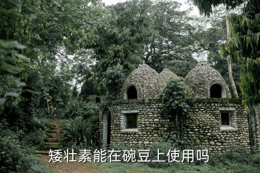 豌豆開花時澆什么肥,豌豆要澆什么農(nóng)藥