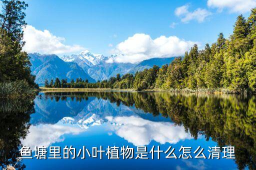 ,革命草什么農(nóng)藥可治死它
