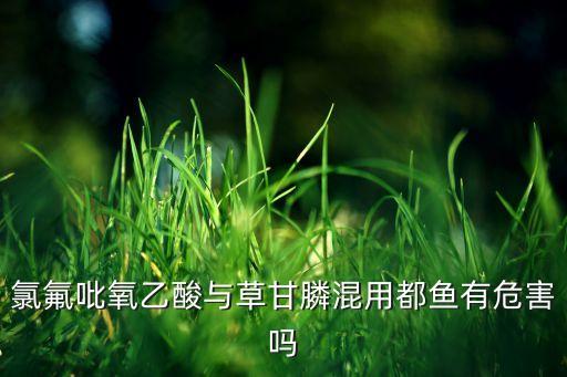 茅梅用什么農藥可根除