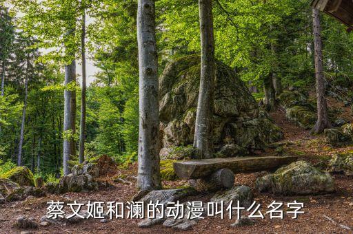 蔡文姬和瀾的動(dòng)漫叫什么名字