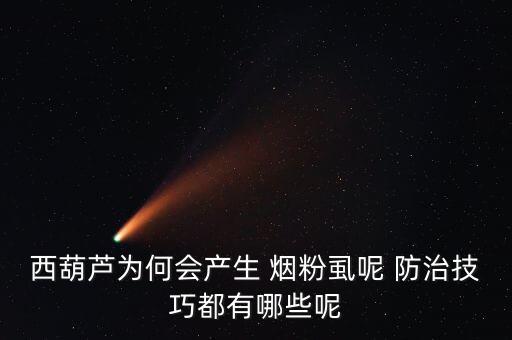 什么農(nóng)藥防治煙粉虱,什么是煙粉虱