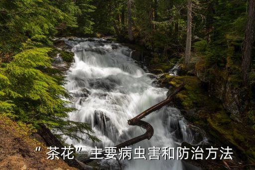 茶花炭病用什么農藥,炭疸病用什么農藥最好好?