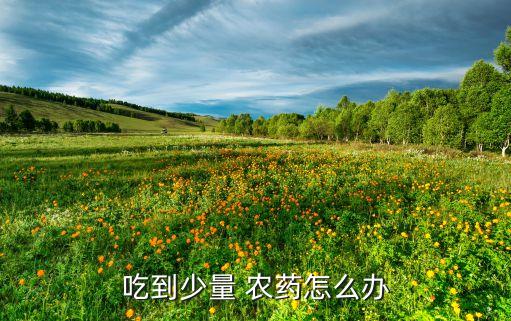 吃到少量 農(nóng)藥怎么辦