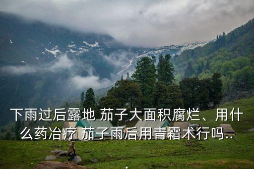茄子爛葉打什么農藥,茄子葉蔫了用什么方法最快