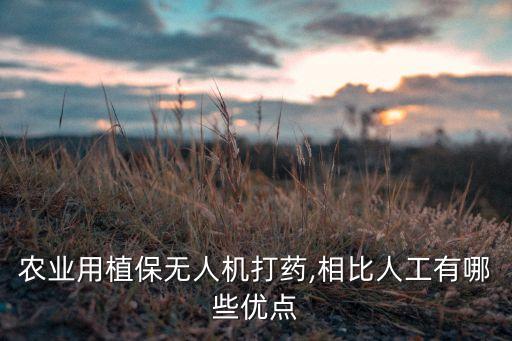 果園里噴農藥用什么機器好