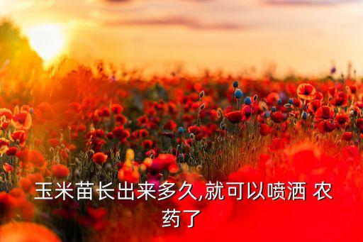  玉米苗長出來多久,就可以噴灑 農藥了