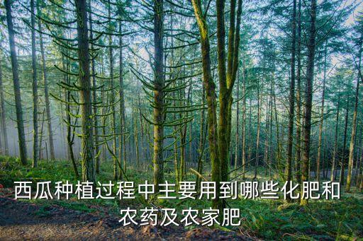西瓜種植過程中主要用到哪些化肥和 農藥及農家肥