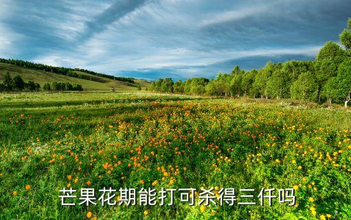 用什么農藥可以殺芒果,芒果用什么農藥催花