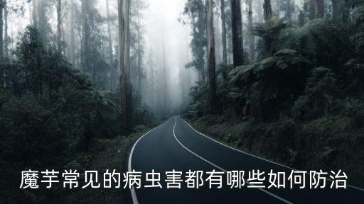 魔芋需要打什么農(nóng)藥嗎