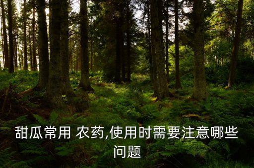 甜瓜常用 農藥,使用時需要注意哪些問題