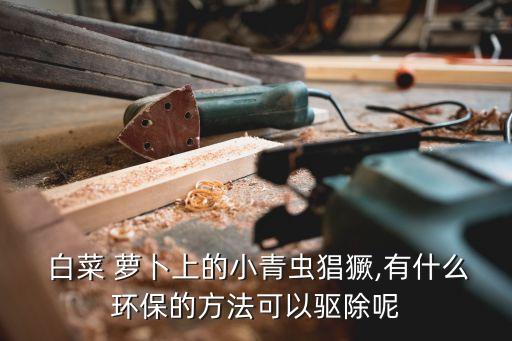  白菜 蘿卜上的小青蟲猖獗,有什么環保的方法可以驅除呢