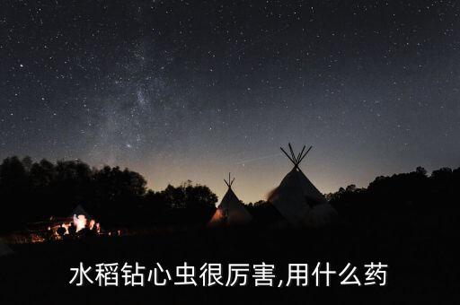 水稻鉆心蟲很厲害,用什么藥