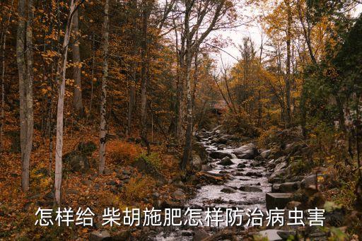 怎樣給 柴胡施肥怎樣防治病蟲害