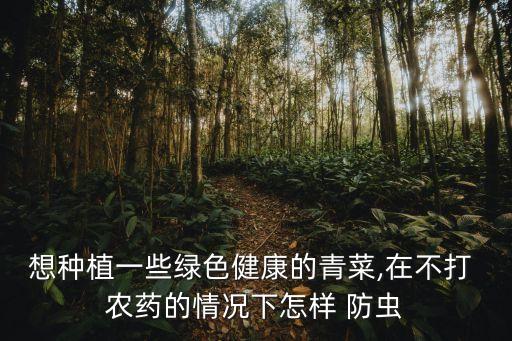 秧子不打農藥用什么防蟲