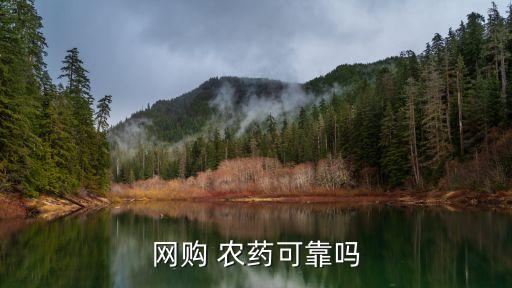 農藥種子什么網網購好,種子農藥店需要什么手續