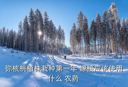嫁接苗木可以用什么農藥,什么是嫁接苗木