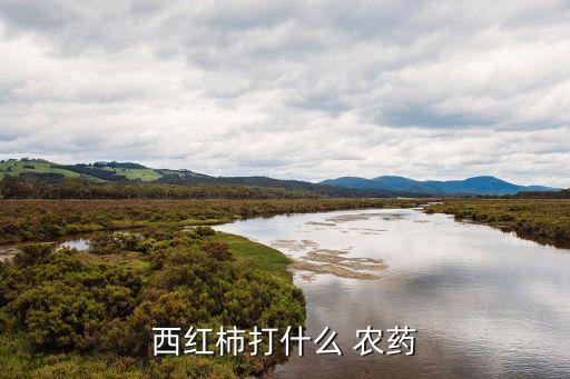 西紅柿打什么 農(nóng)藥