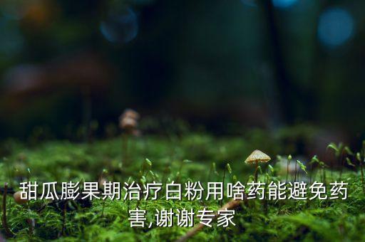 甜瓜前期打什么農藥好用