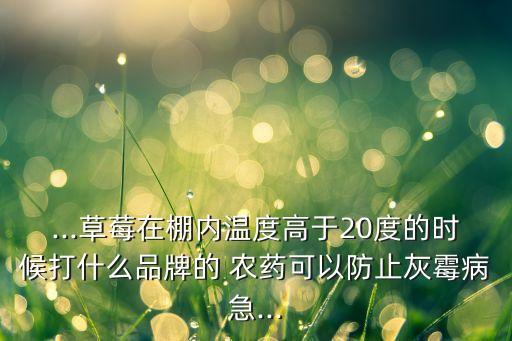 ...草莓在棚內溫度高于20度的時候打什么品牌的 農藥可以防止灰霉病急...