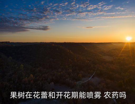  果樹在花蕾和開花期能噴霧 農(nóng)藥嗎
