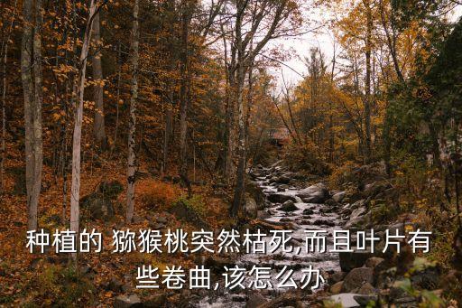 獼猴桃打什么農藥死亡,春季獼猴桃打什么農藥