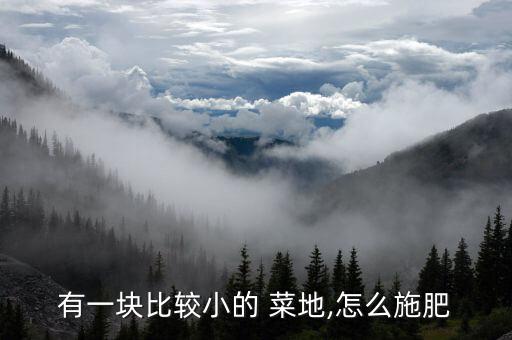 菜地不能澆什么農(nóng)藥水果,菜地打農(nóng)藥什么時間打好